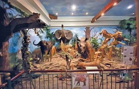 Rahmat International Wildlife Museum & Gallery